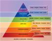 current trends and issues in education reflection